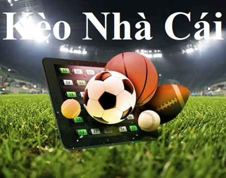 Theo Dõi Trực Tiếp Bóng Đá Hôm Nay World Cup 2022