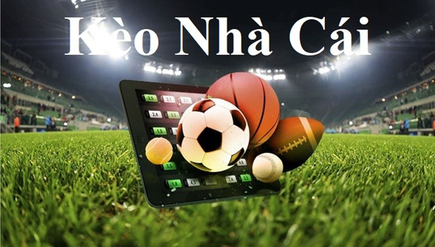 Theo Dõi Trực Tiếp Bóng Đá Hôm Nay World Cup 2022
